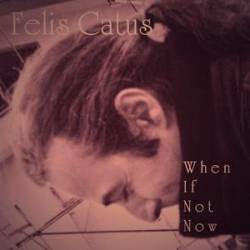 Felis Catus : When If Not Now